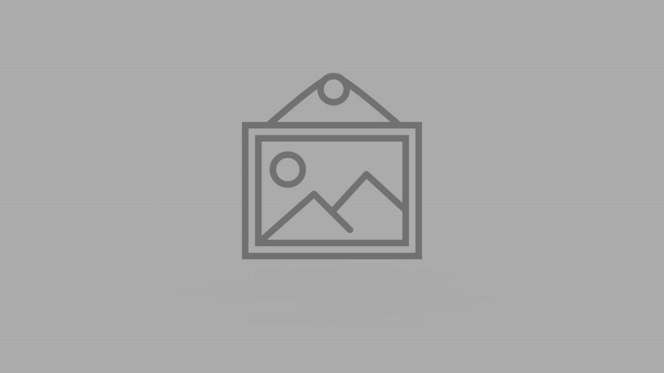 سوکت و دسته سیم خودرو چیست و چرا کیفیت آن اهمیت دارد؟
